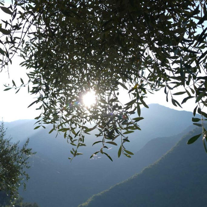 il wokini - Blick in die Berge
